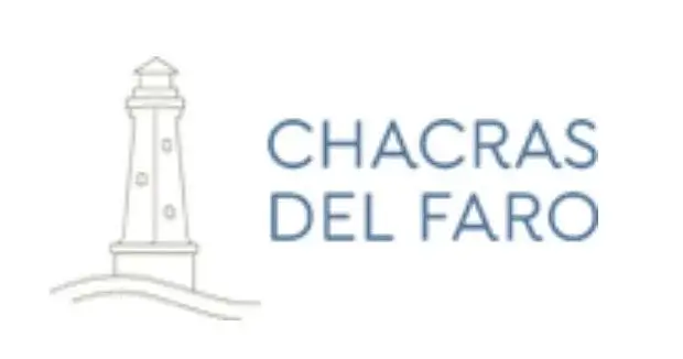 WhatsApp Image 2025-11-06 at 13.21.45