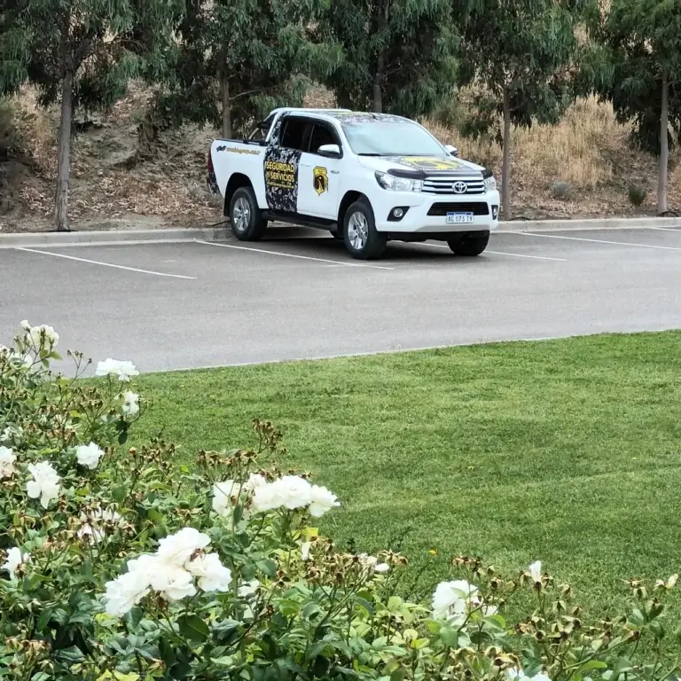 WhatsApp Image 2025-04-07 at 15.26.48(2)