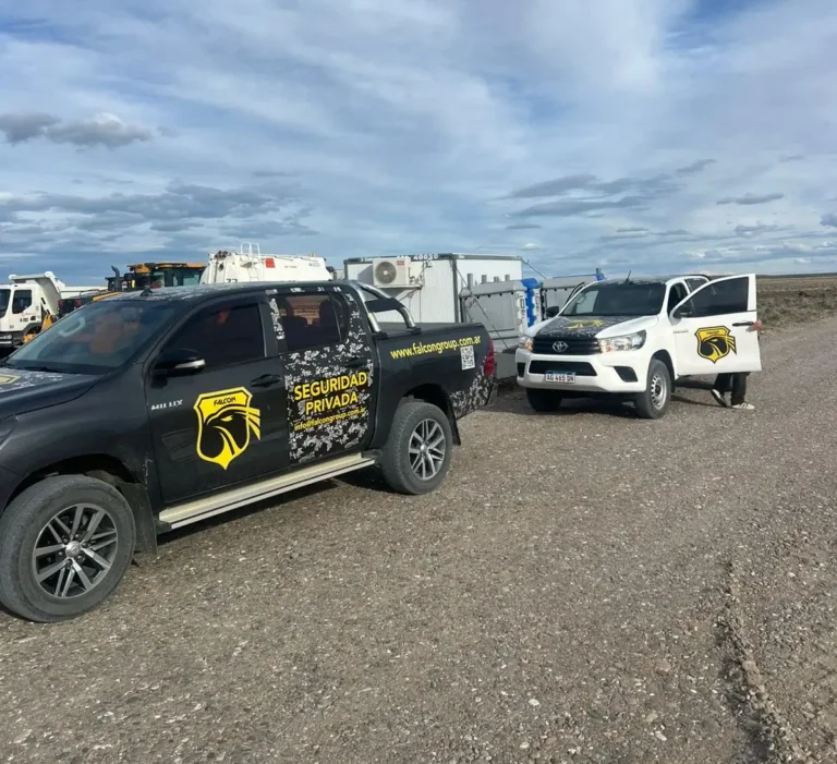 WhatsApp Image 2026-01-26 at 11.07.17