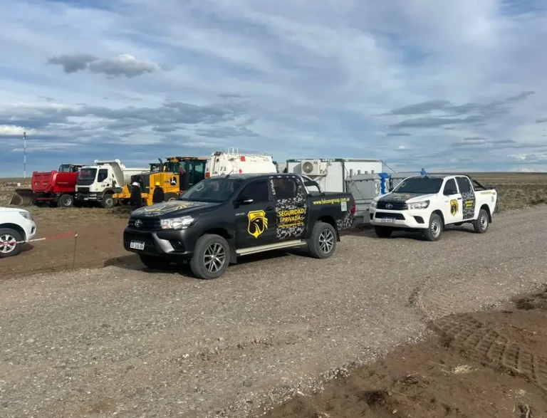 WhatsApp Image 2026-01-26 at 11.19.12