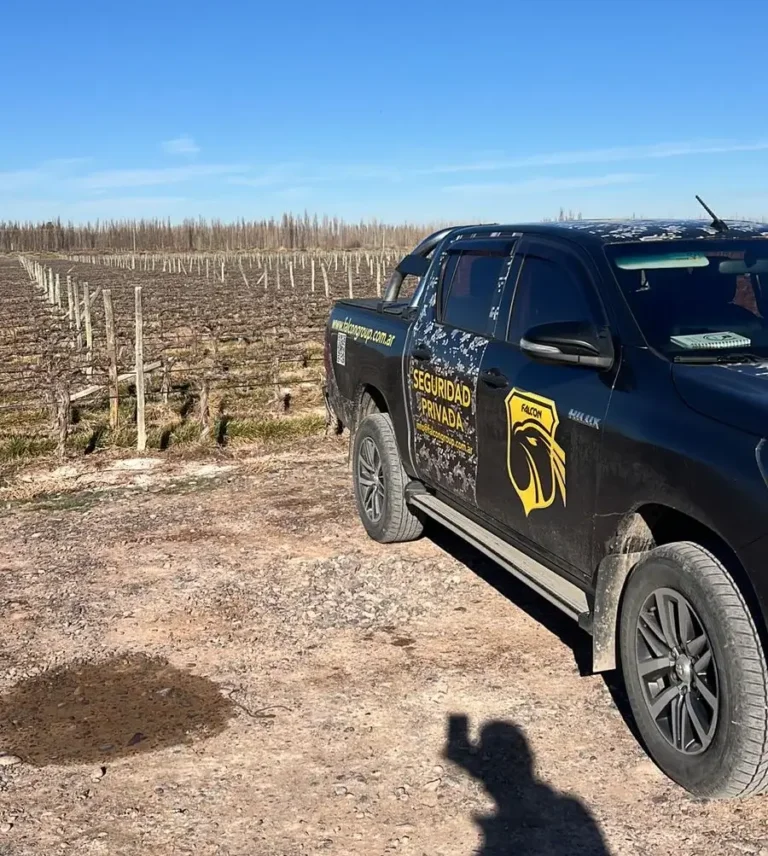 WhatsApp Image 2026-01-26 at 11.19.14(1)