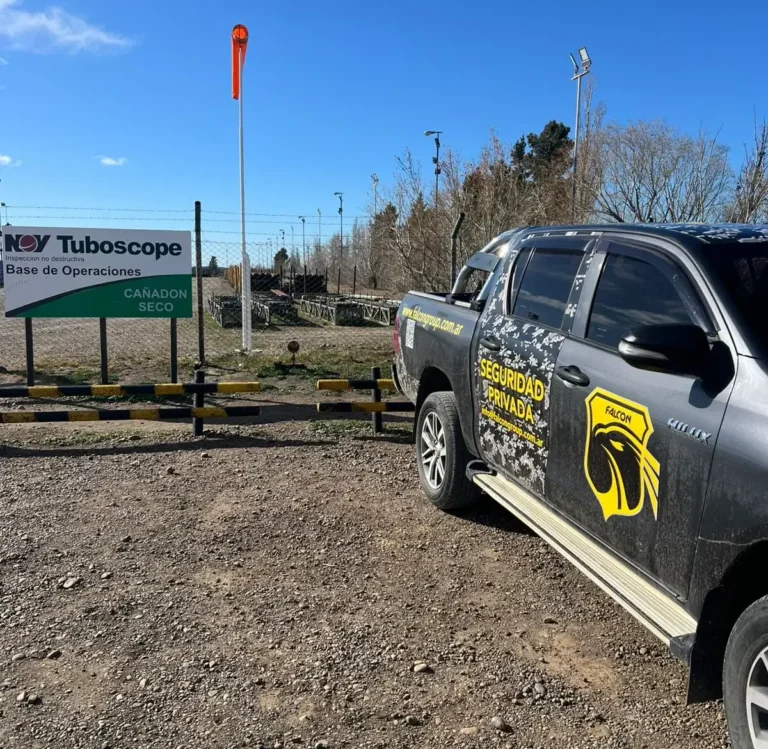 WhatsApp Image 2026-01-26 at 11.19.15(1)